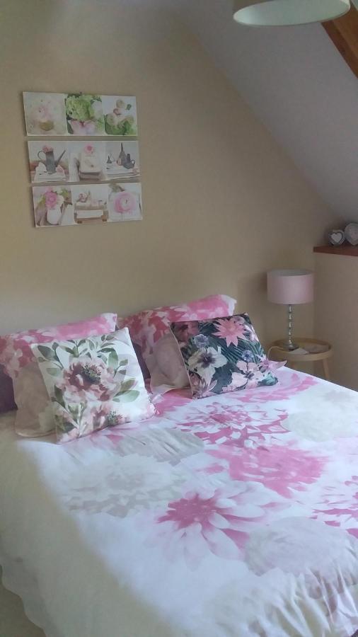 Chambre De Rose - Le Refuge Des Parachutistes - En Bordure Du Marais Neuville-au-Plain Luaran gambar