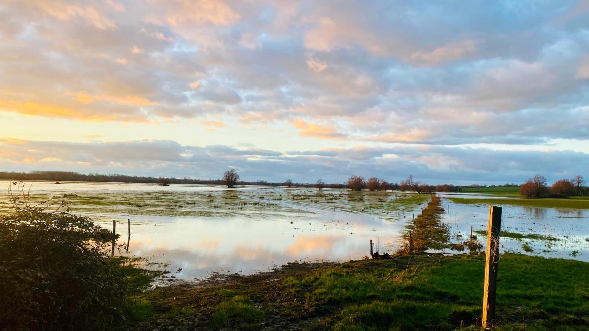 Chambre De Rose - Le Refuge Des Parachutistes - En Bordure Du Marais Neuville-au-Plain Luaran gambar
